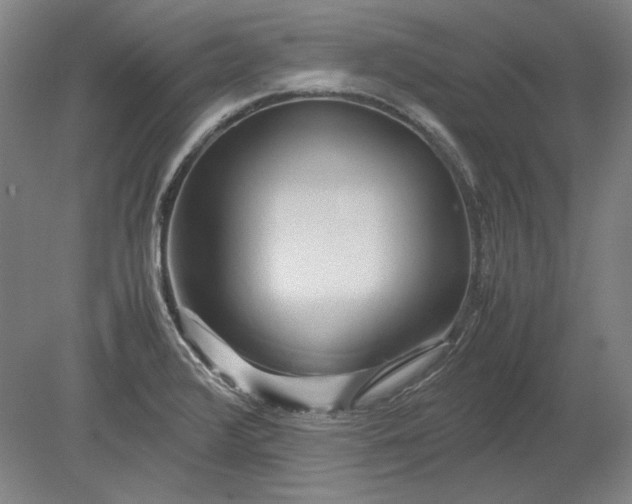 X0000080801376200701021239