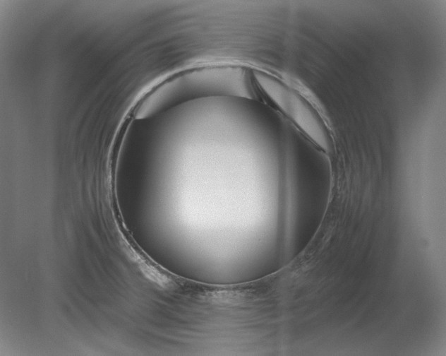 X0000080801380200701021239