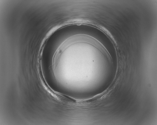 X0000080801381200701021239