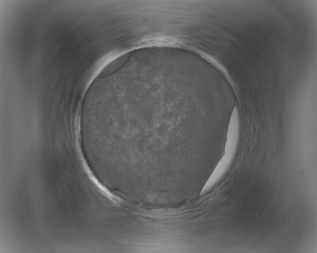 X0000080801383200701021239
