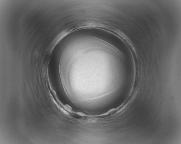 X0000080801385200701021238