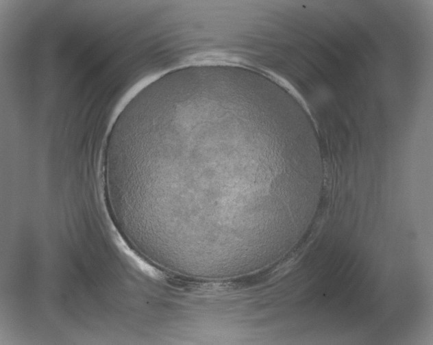 X0000080801387200701021238