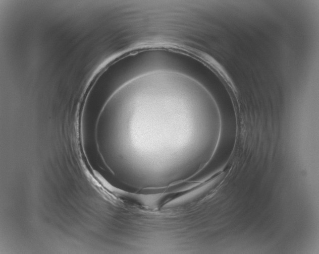 X0000080801388200701021238
