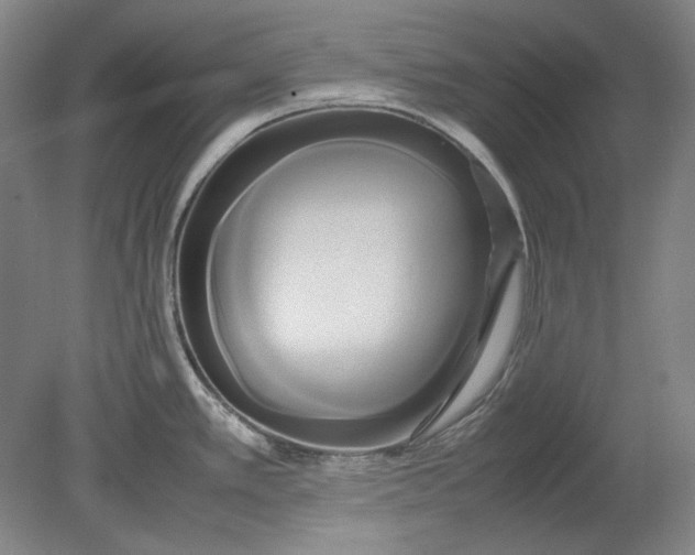 X0000080801389200701021238