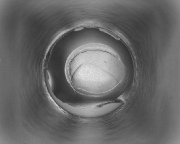 X0000080801392200701021238