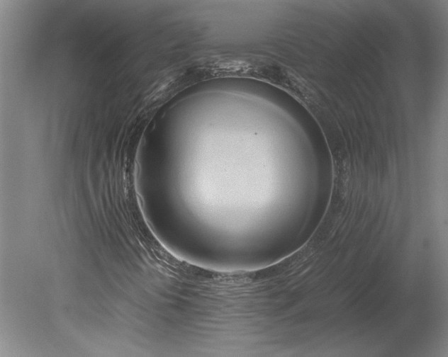 X0000080801394200701021238