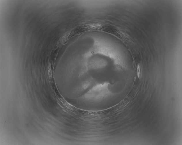 X0000080801395200701021238