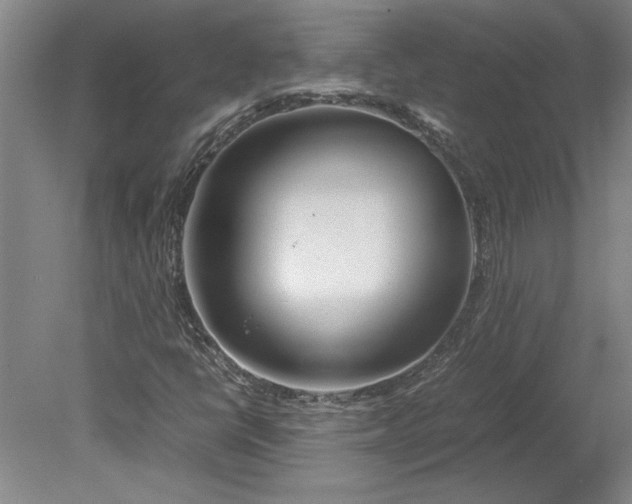 X0000080801398200701021238