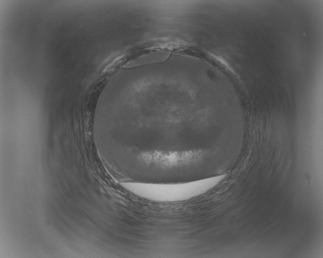 X0000080801399200701021238