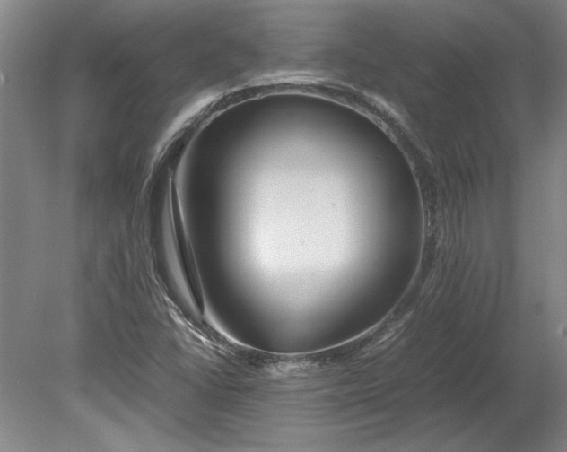 X0000080801406200701021238