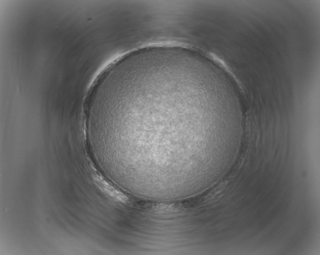 X0000080801408200701021238