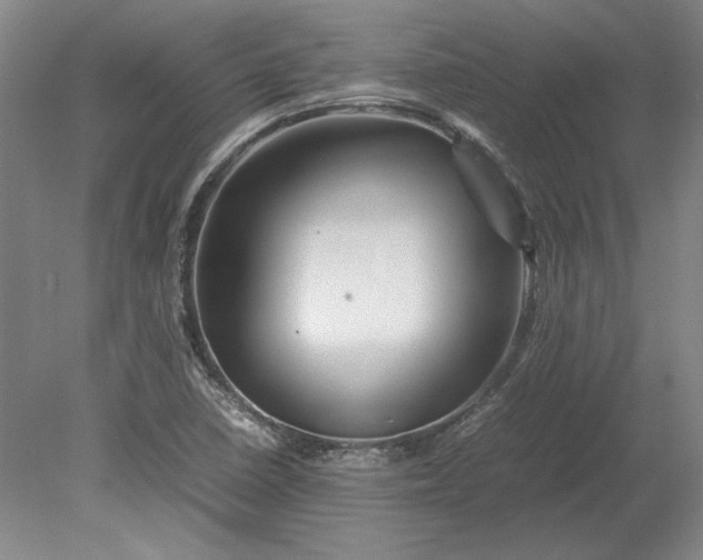 X0000080801410200701021238