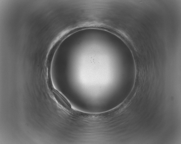 X0000080801414200701021238