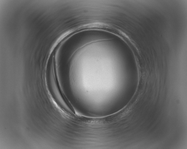 X0000080801418200701021238