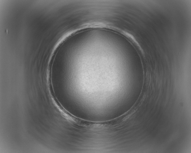 X0000080801424200701021238