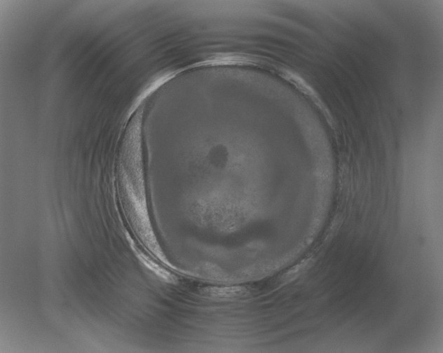 X0000080801425200701021238