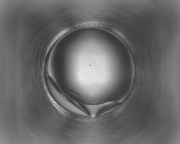 X0000080801426200701021238