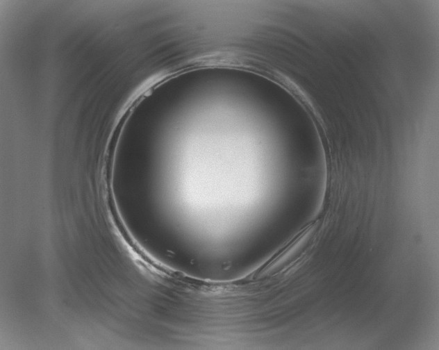 X0000080801434200701021238