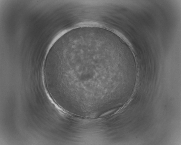 X0000080801440200701021238