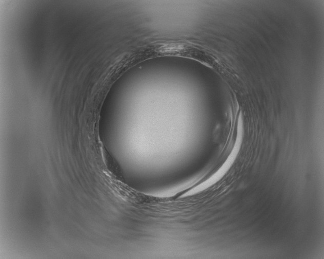 X0000080801441200701021238