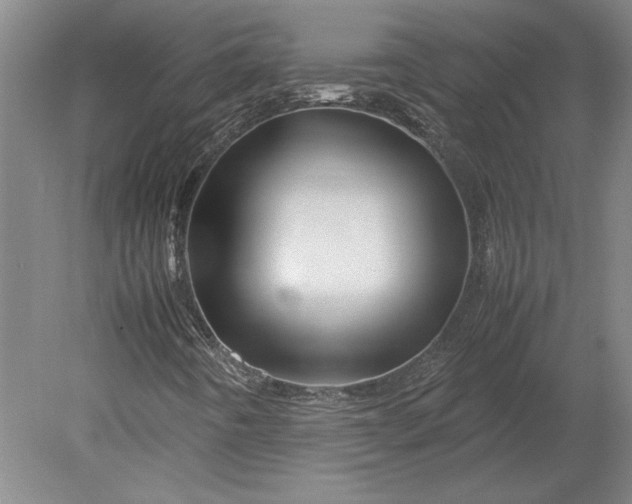 X0000080801442200701021238