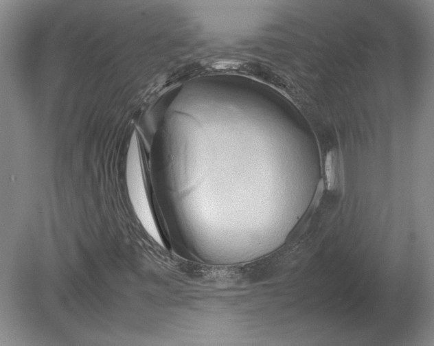 X0000080801443200701021238