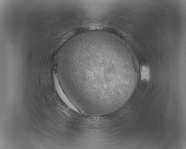 X0000080801444200701021238