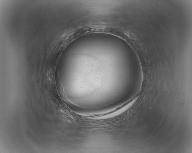 X0000080801445200701021237