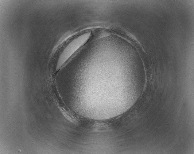 X0000080801448200701021237
