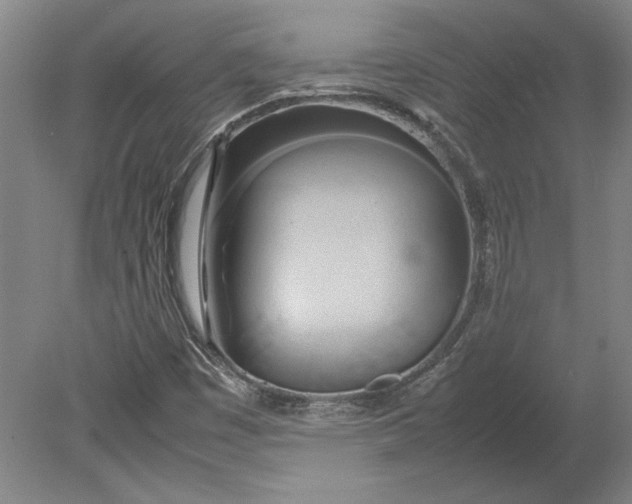 X0000080801449200701021237