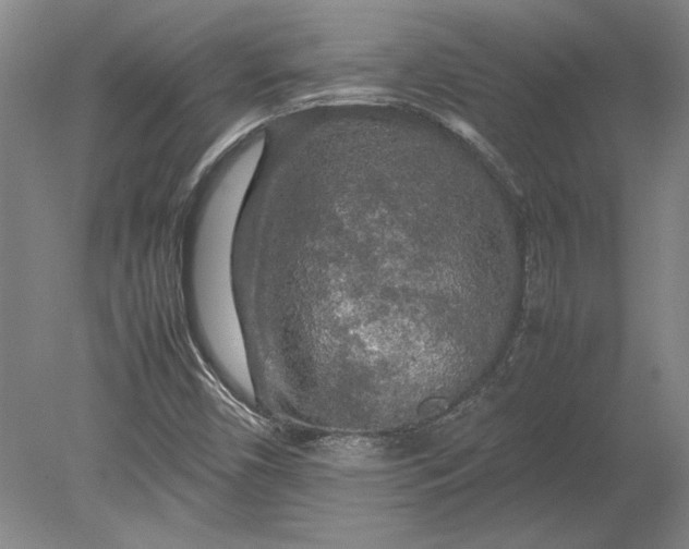 X0000080801450200701021237