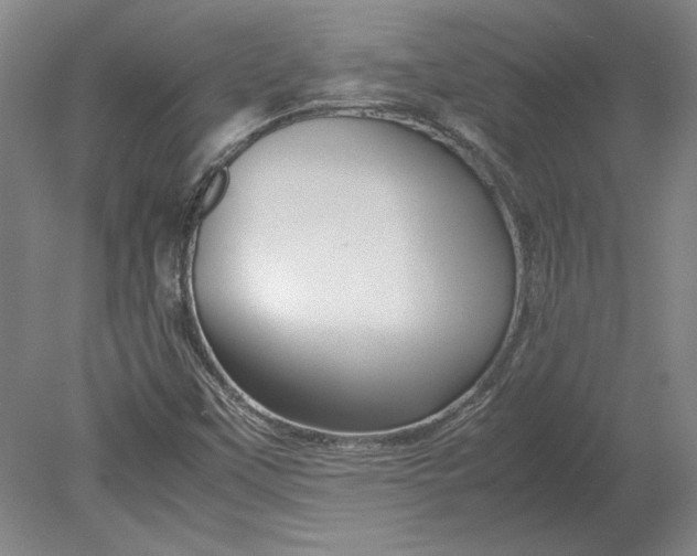 X0000080801451200701021237