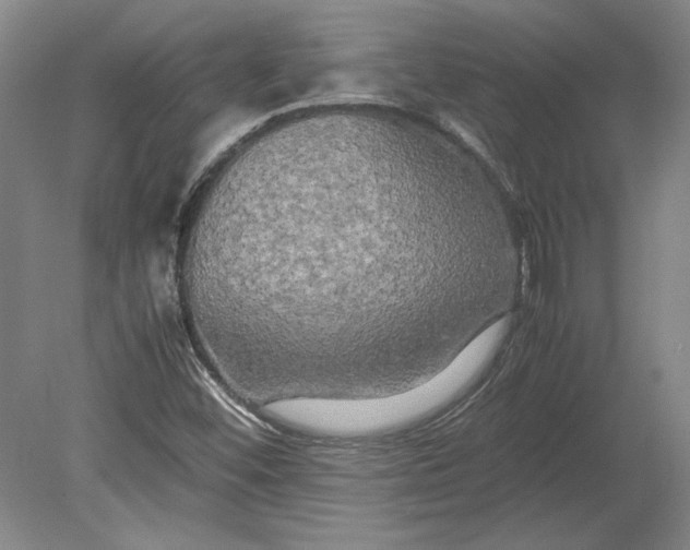X0000080801452200701021237