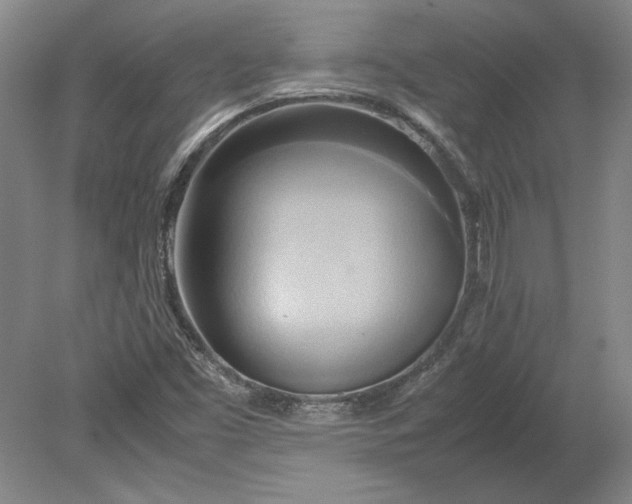 X0000080801453200701021237