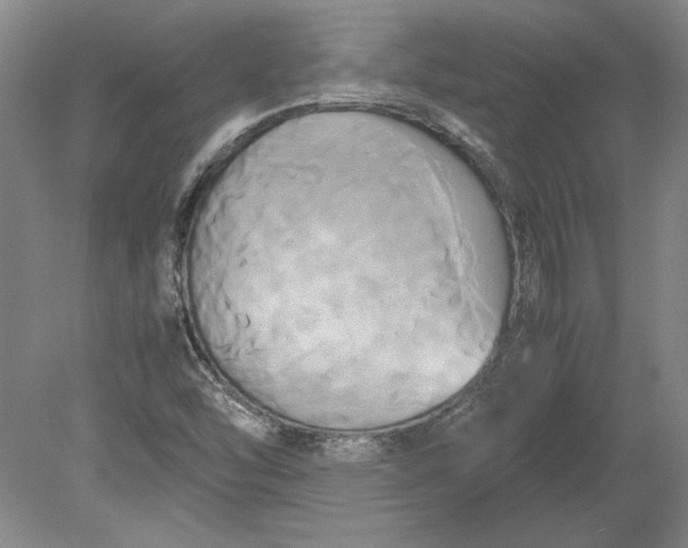 X0000080801454200701021237