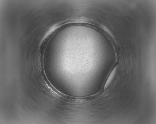 X0000080801456200701021237