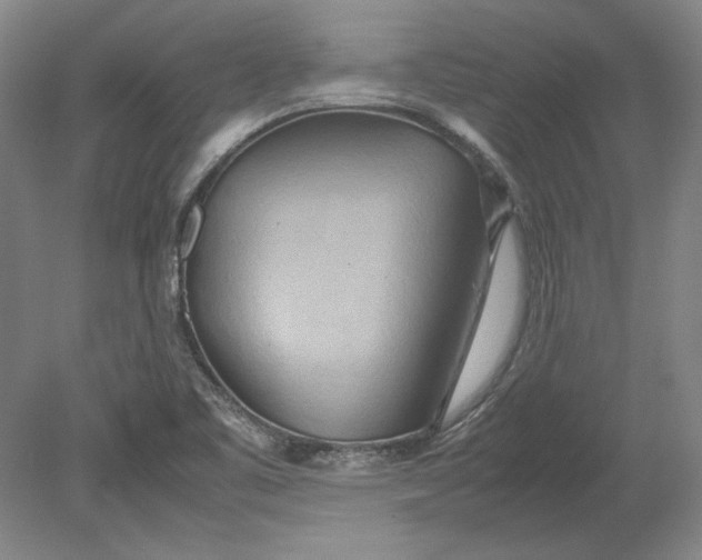 X0000080801461200701021237