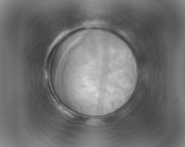 X0000080801462200701021237