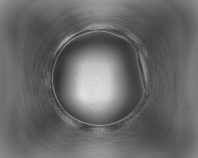 X0000080801465200701021237