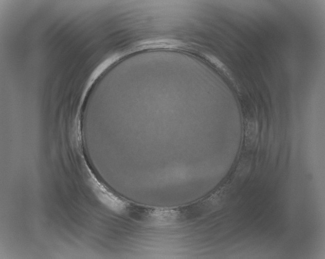 X0000080801466200701021237