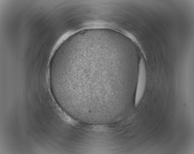 X0000080801472200701021237