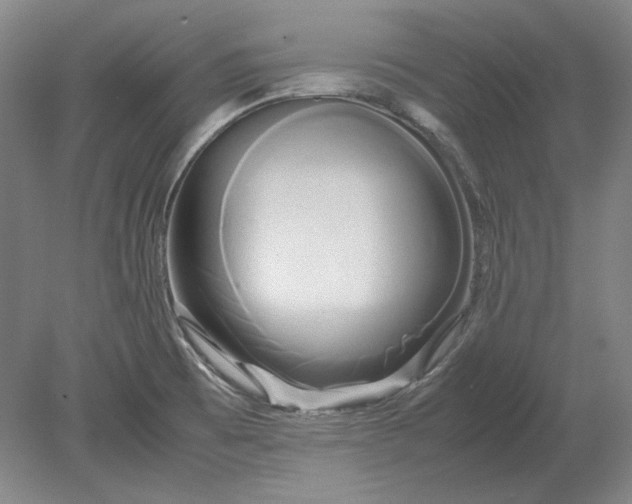 X0000080801473200701021237