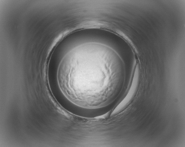 X0000080801477200701021237