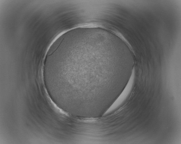 X0000080801484200701021237
