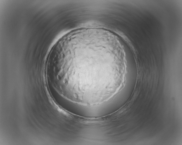 X0000080801486200701021237