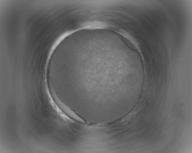 X0000080801488200701021237