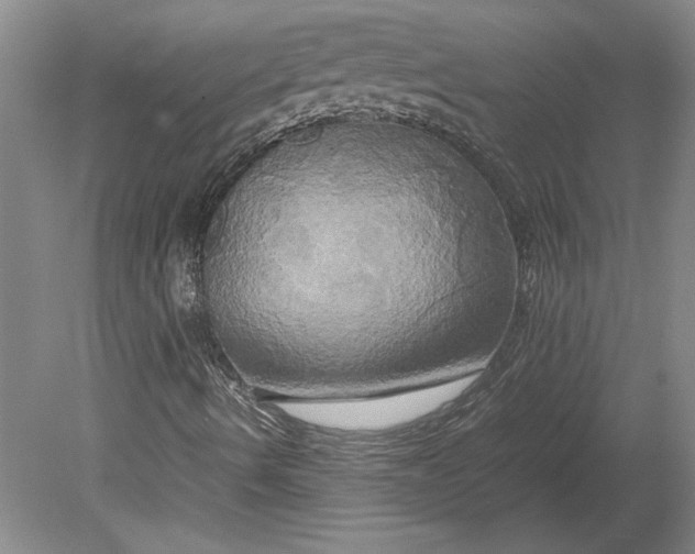 X0000080801490200701021236