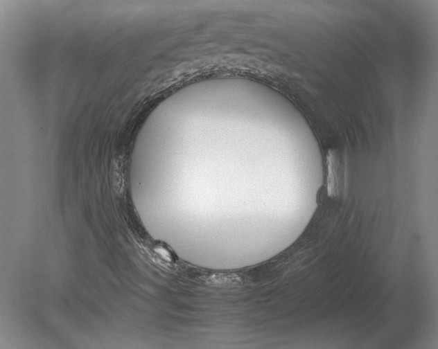 X0000080801491200701021236