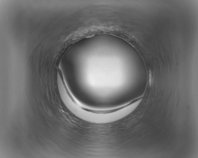 X0000080801492200701021236