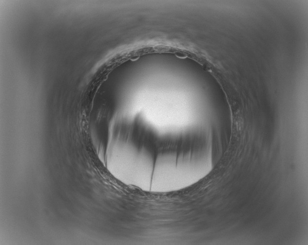 X0000080801495200701021236